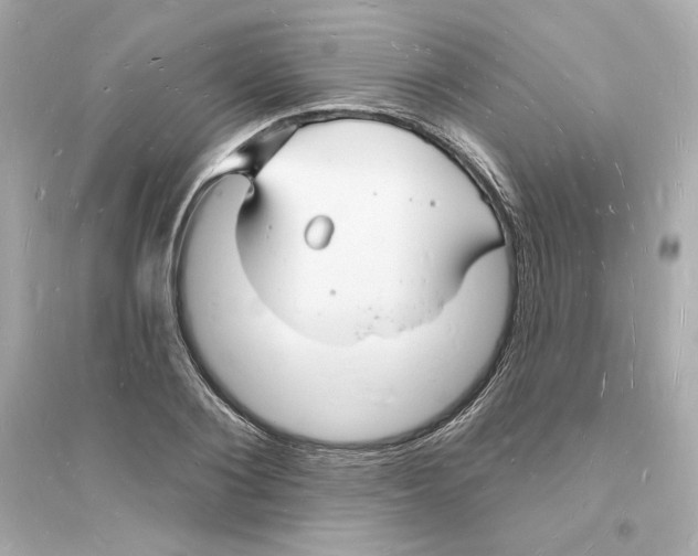 X0000093720884200711131011