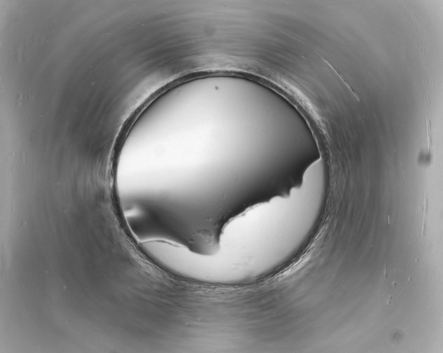 X0000093720885200711131011