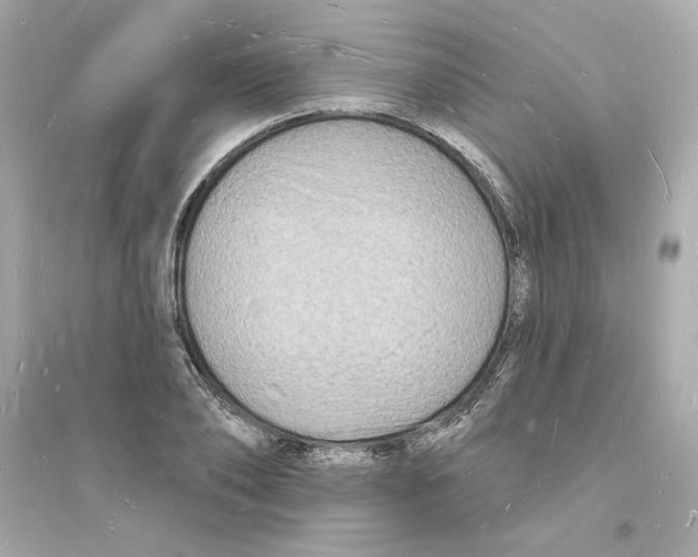 X0000093720886200711131011