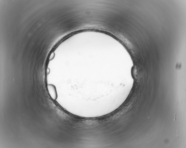 X0000093720888200711131011