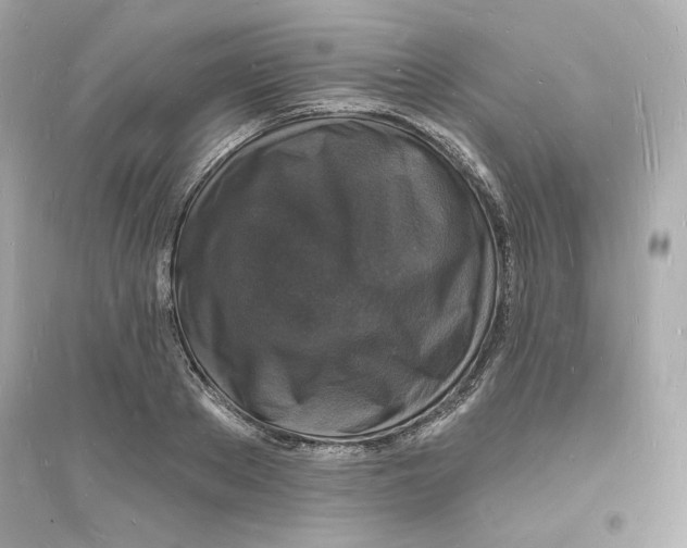 X0000093720889200711131011