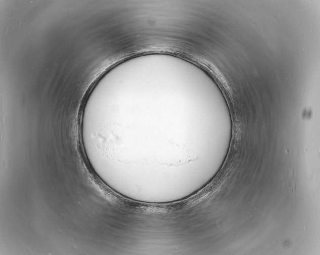 X0000093720890200711131011