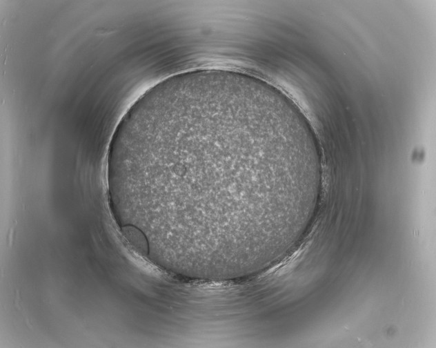 X0000093720891200711131011