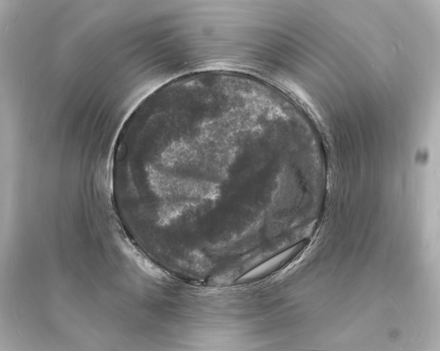 X0000093720892200711131011