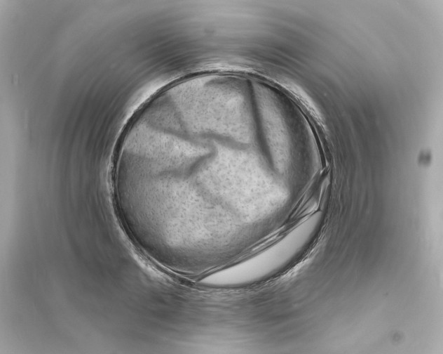 X0000093720893200711131011