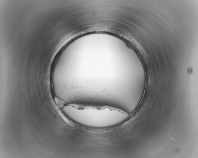 X0000093720894200711131011