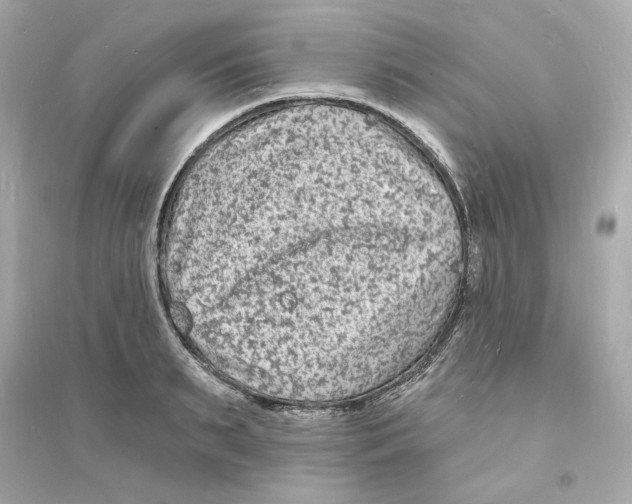 X0000093720895200711131011