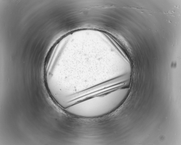 X0000093720896200711131011