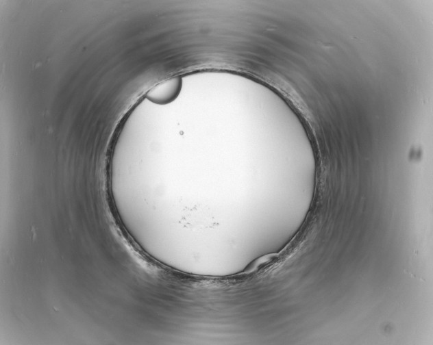 X0000093720898200711131011