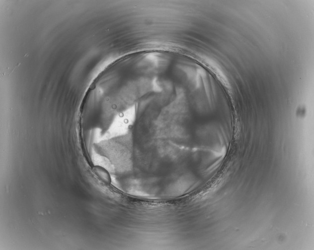 X0000093720899200711131011