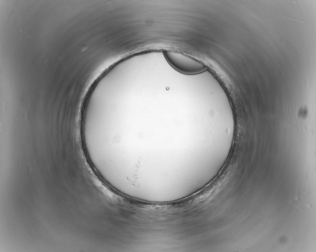 X0000093720902200711131011