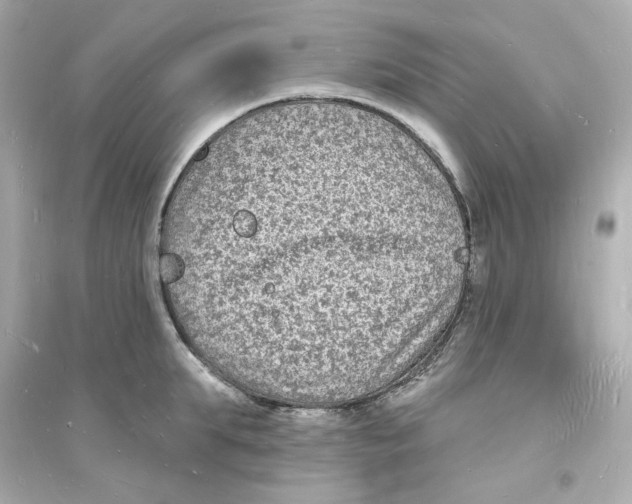 X0000093720903200711131010