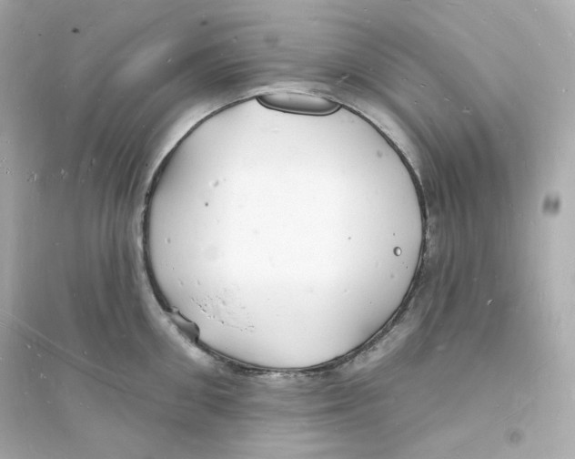 X0000093720906200711131010