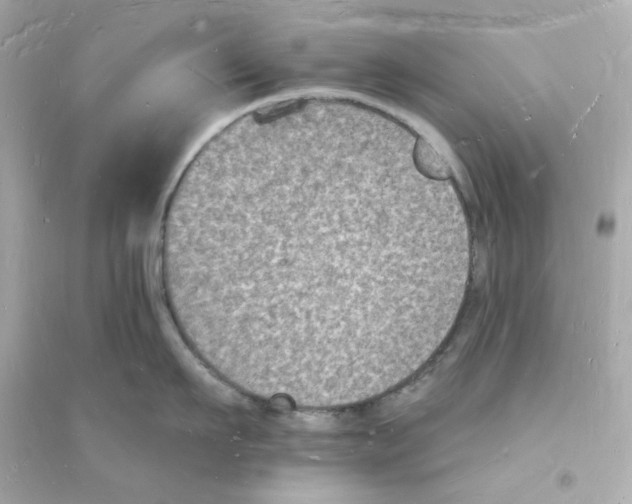 X0000093720911200711131010