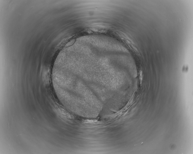 X0000093720915200711131010