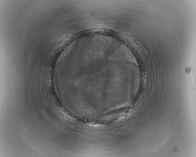 X0000093720916200711131010