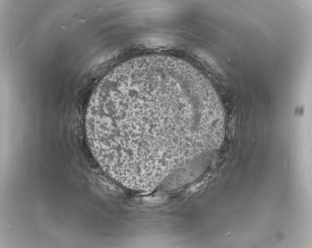 X0000093720917200711131010