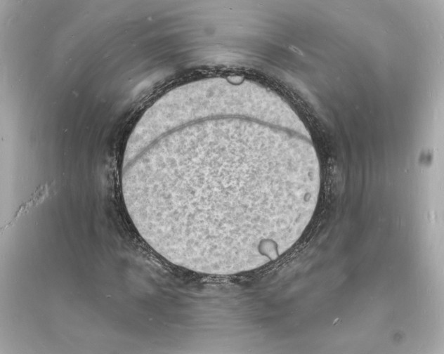 X0000093720918200711131010