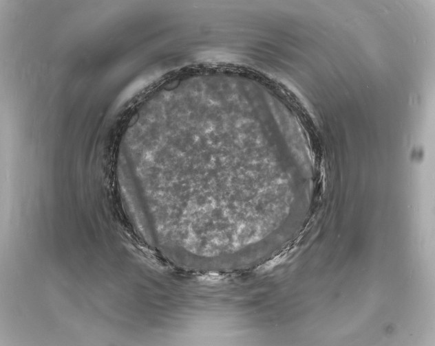 X0000093720919200711131010