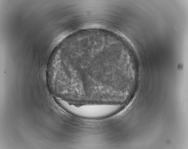 X0000093720921200711131010