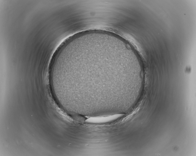 X0000093720924200711131010