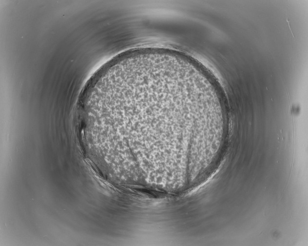 X0000093720925200711131010