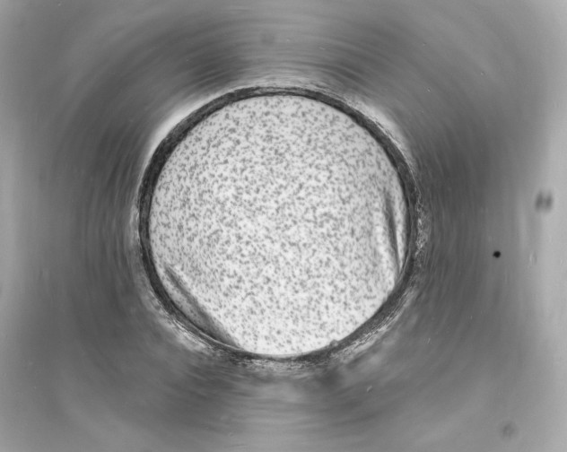 X0000093720928200711131010