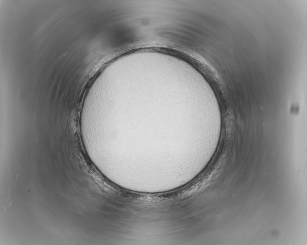 X0000093720929200711131010