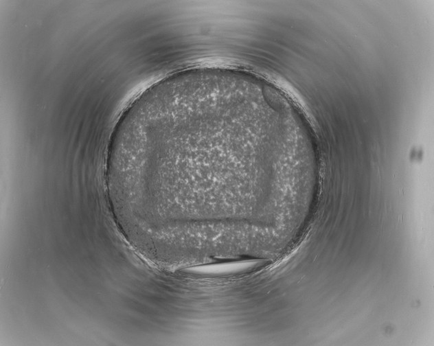 X0000093720930200711131010