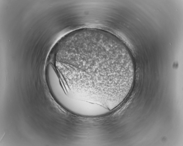 X0000093720932200711131010