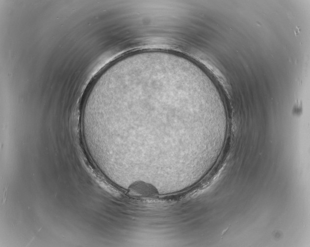 X0000093720933200711131010