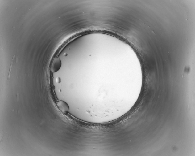 X0000093720934200711131010