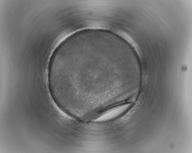 X0000093720935200711131010