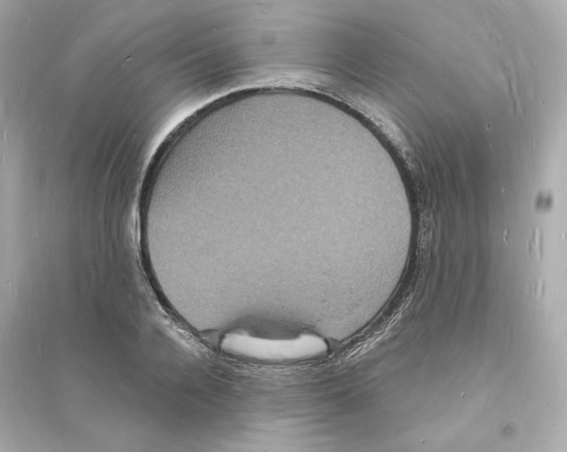 X0000093720936200711131010