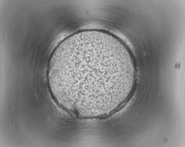 X0000093720937200711131010