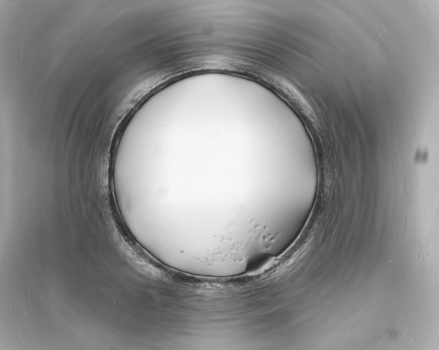 X0000093720938200711131010