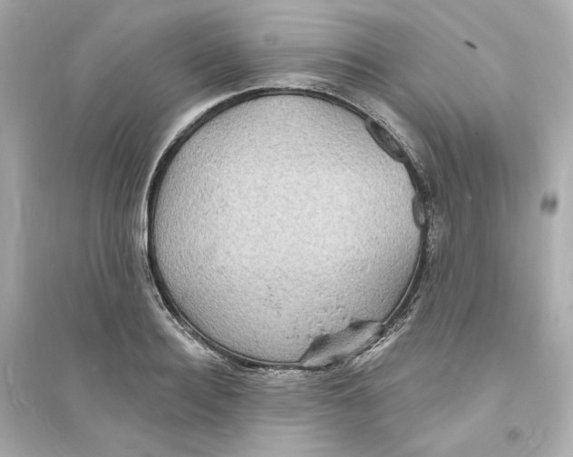 X0000093720940200711131010