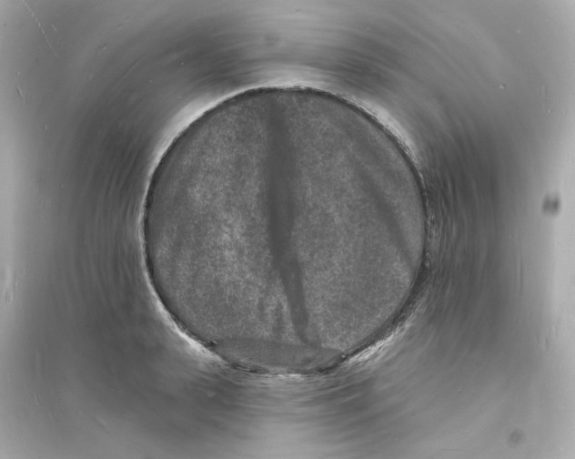 X0000093720943200711131010