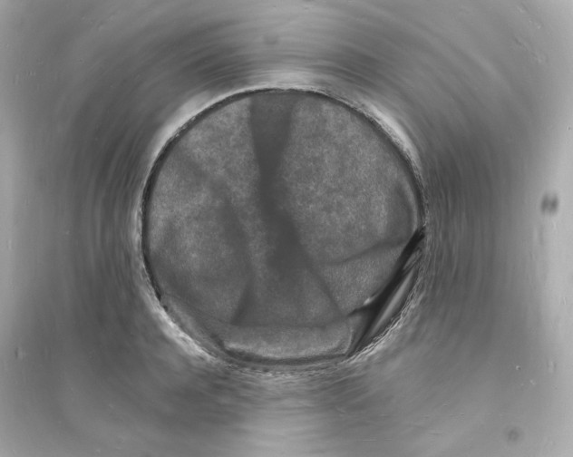 X0000093720944200711131010