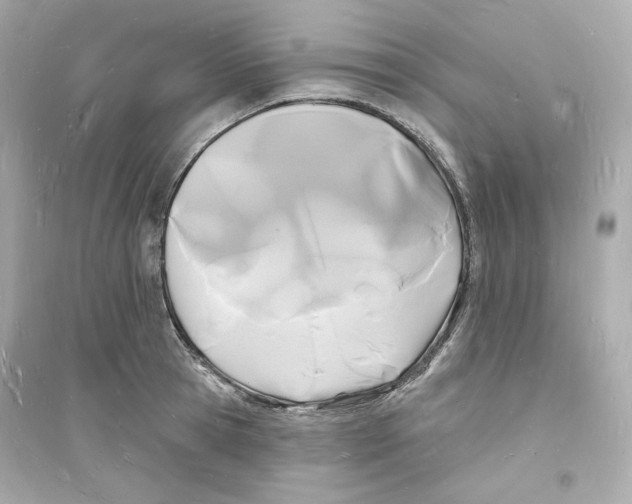 X0000093720945200711131010