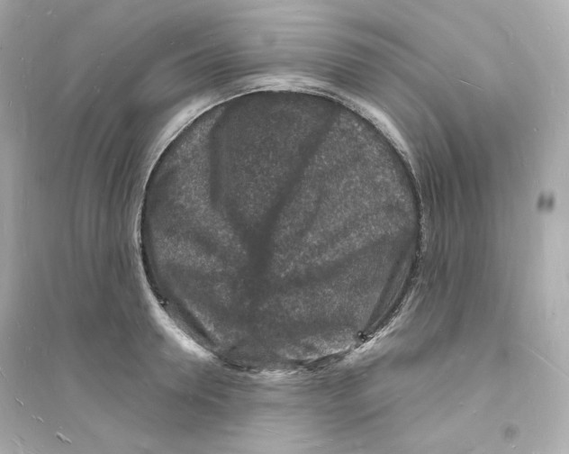 X0000093720946200711131010