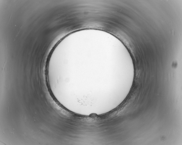 X0000093720947200711131010