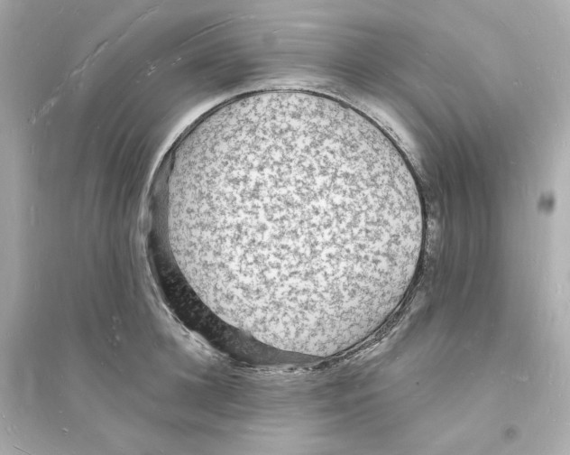 X0000093720948200711131010