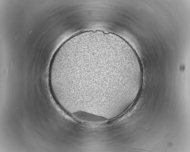 X0000093720949200711131010