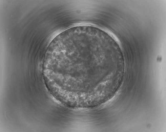 X0000093720953200711131010