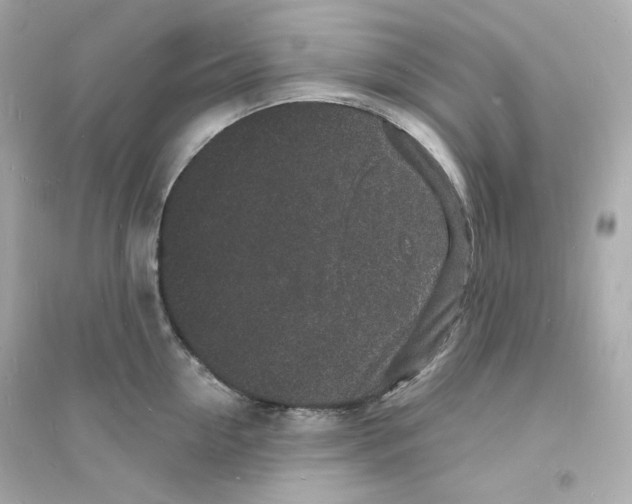 X0000093720954200711131010