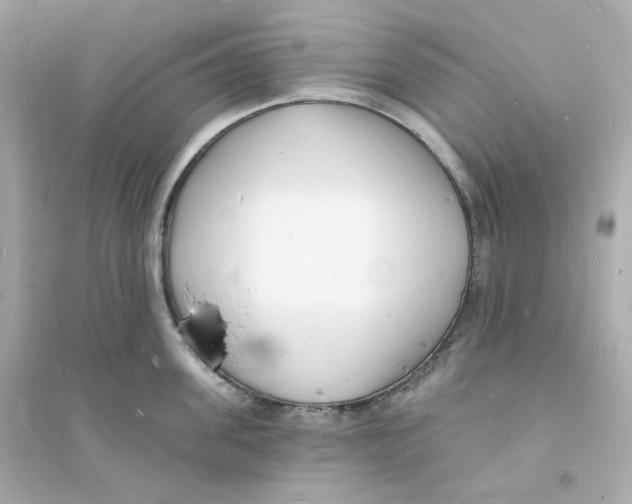 X0000093720955200711131010