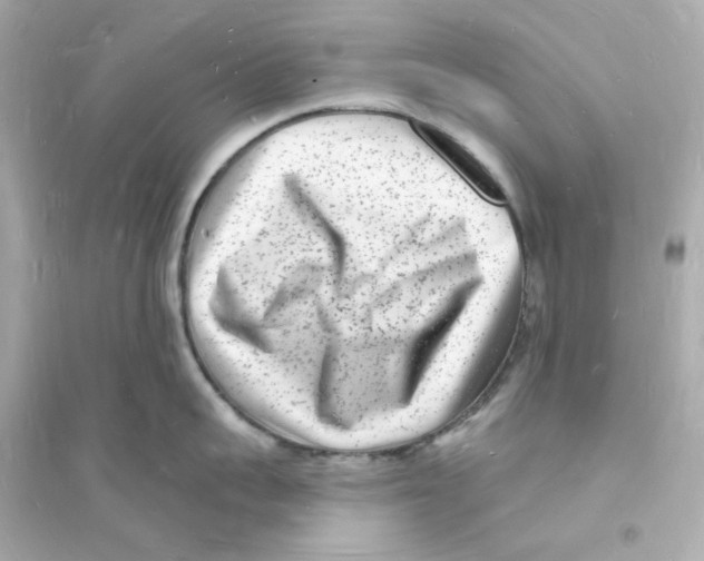 X0000093720959200711131010