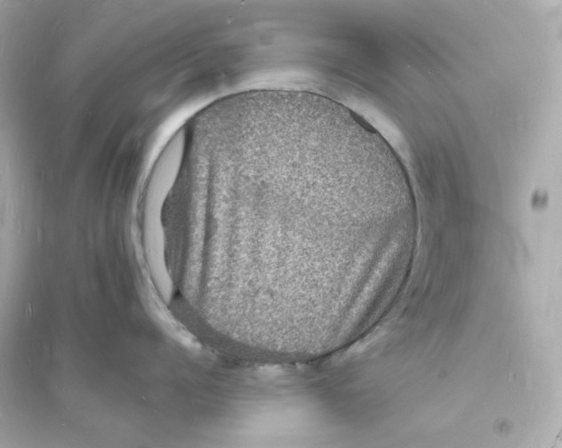 X0000093720960200711131010