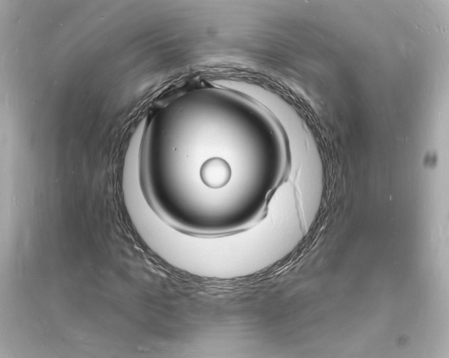 X0000093720965200711131009